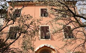 Angelini